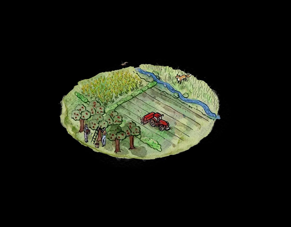 Illustrazione agricoltura