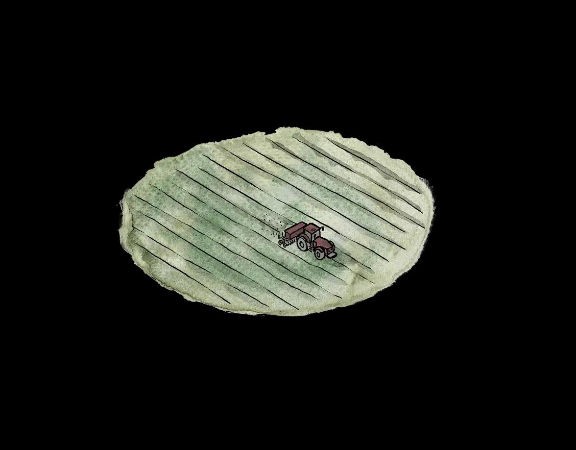 Illustrazione agricoltura